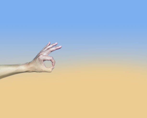 istock Ok agree hand gesture on pastel background color 925148168