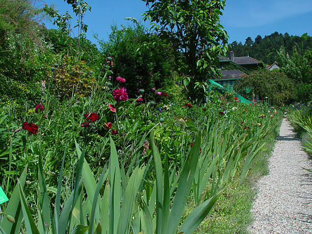 Monet's Flower Garden  foundation claude monet photos stock pictures, royalty-free photos & images