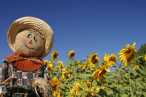 A scarecrow infront of the white background