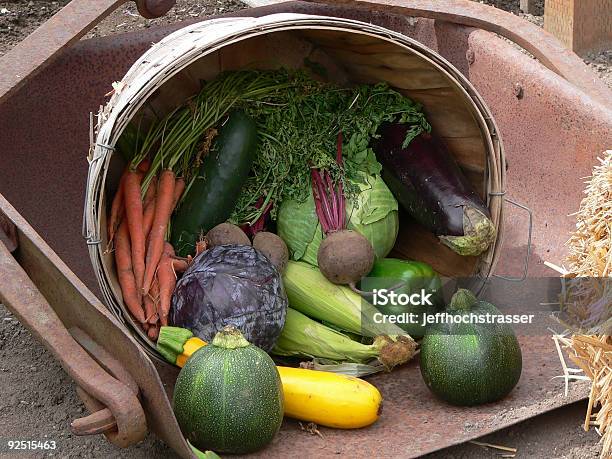 Füllhorn Von Gemüse Stockfoto und mehr Bilder von Acorn-Kürbis - Acorn-Kürbis, Behälter, Farbbild
