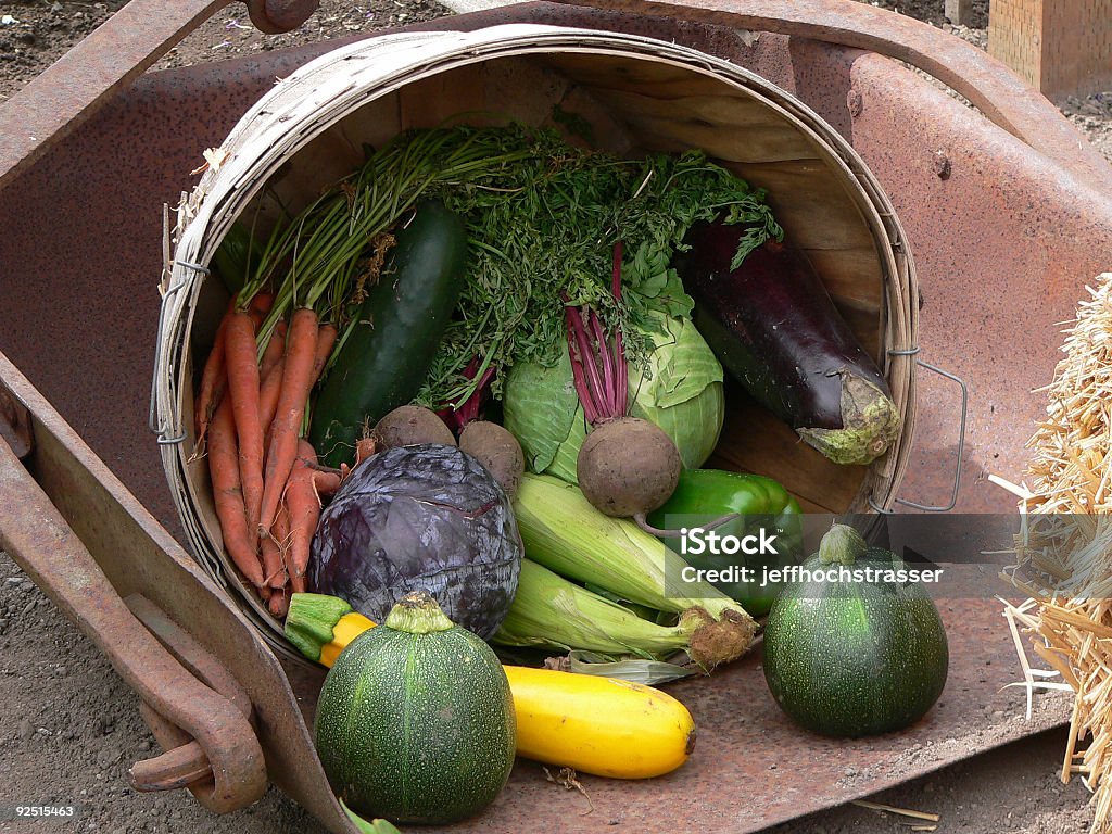 Cornucopia di verdure - Foto stock royalty-free di Arancione