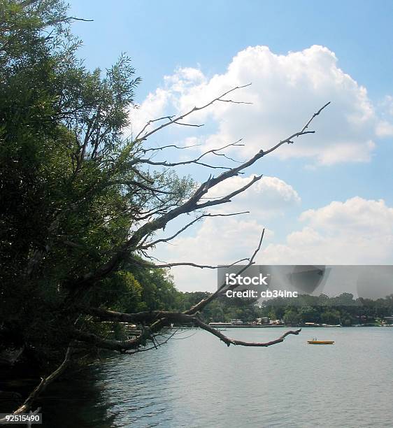 Lake Tree Stock Photo - Download Image Now - Air Pump, Arrangement, Autumn