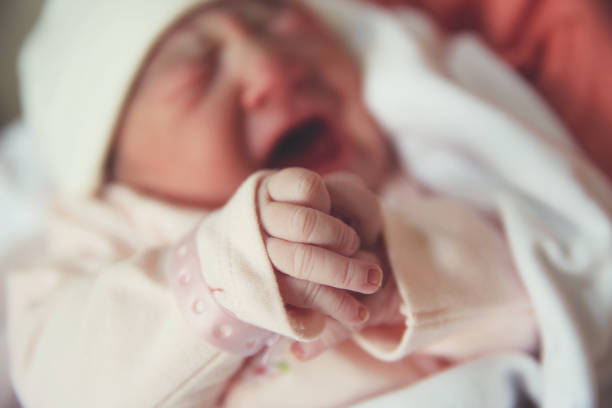 Portrait of a screaming newborn hold at hands stock photo
