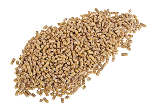 istock Granulated feed isolated on white background, closeup 925160906