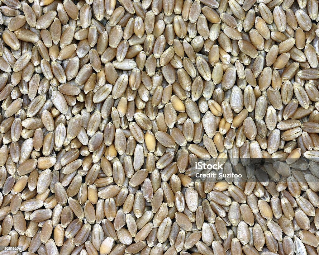 whole wheat (hard red wheatberries)  Backgrounds Stock Photo