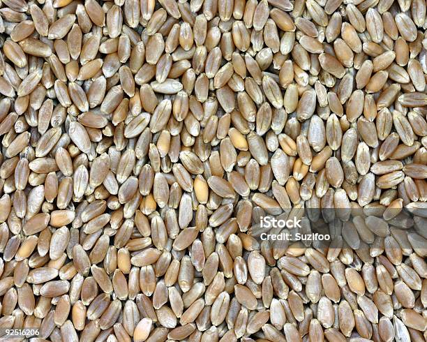 Whole Wheat Stock Photo - Download Image Now - Backgrounds, Baking, Berry