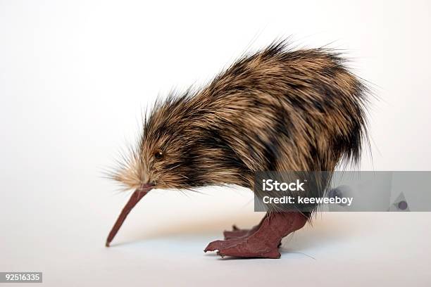 Kiwi Stockfoto und mehr Bilder von Kiwivogel - Kiwivogel, Spielzeug, Vogel