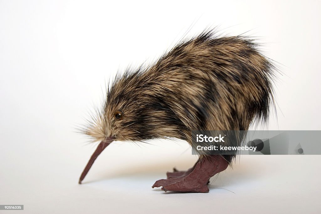 Kiwi - Foto de stock de Pájaro kiwi libre de derechos