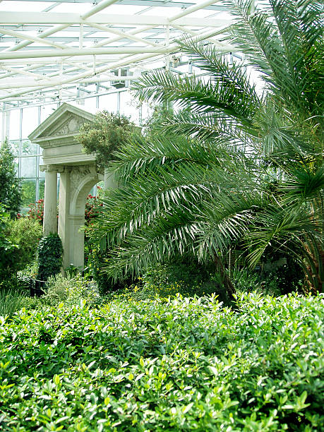 istock Greenhouse Roman Garden 92516346
