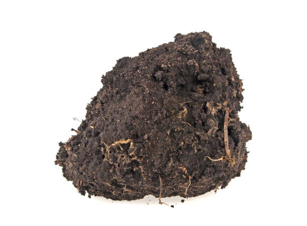istock Pile soil isolated on white background 925164374