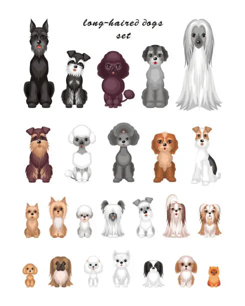 Vector illustration of dog breeds set