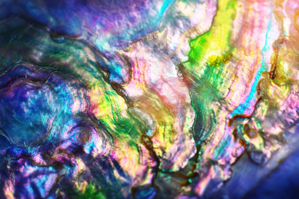 high magnification macro of pearl shell. colourful nature background. - pacific oyster imagens e fotografias de stock