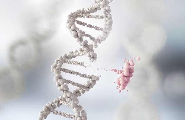 abstrakte atom oder molekül-struktur für die wissenschaft - dna chromosome genetic research genetic mutation stock-fotos und bilder