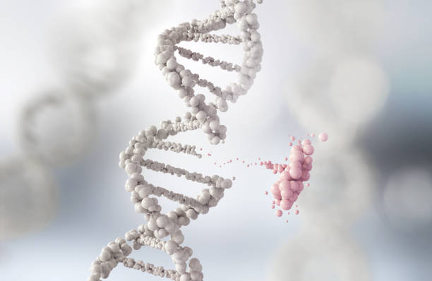 과학에 대 한 추상 원자 또는 분자 구조 - dna chromosome genetic research genetic mutation 뉴스 사진 이미지