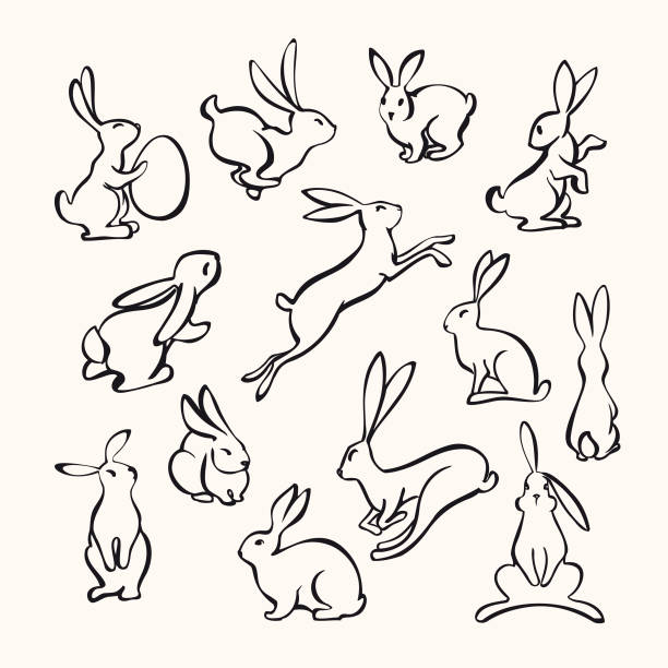 Collection of line art rabbits Vector illustration of various bunny poses in black and white. rabbit stock illustrations