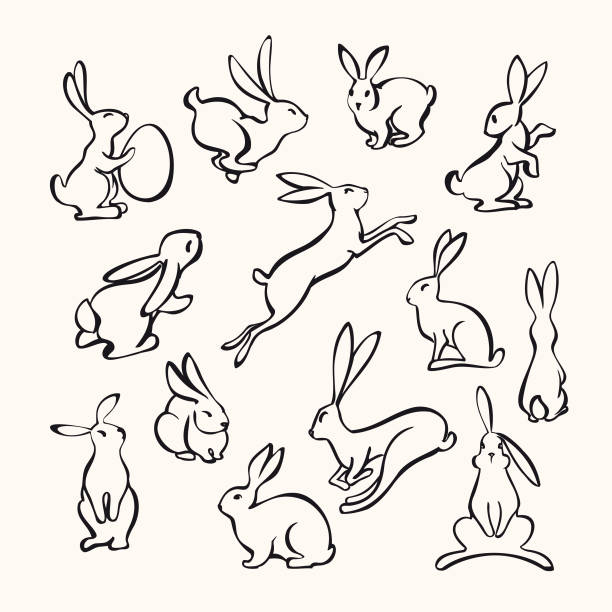 Collection of line art rabbits Vector illustration of various bunny poses in black and white. easter bunny hopping stock illustrations