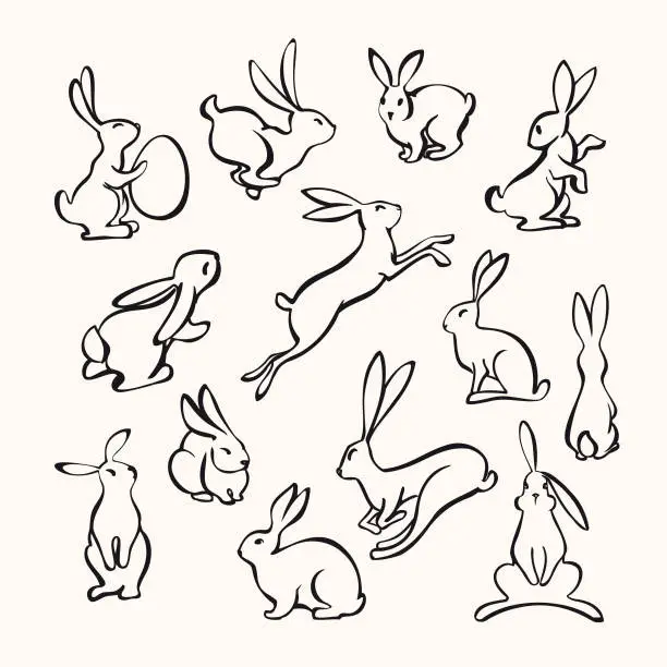 Vector illustration of Collection of line art rabbits