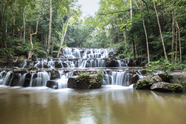 istock forest waterfall at National Park, Panorama 925168130