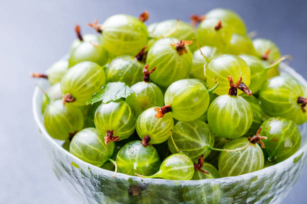 istock Gooseberries in glass bowl on black stone slate background. 925171998