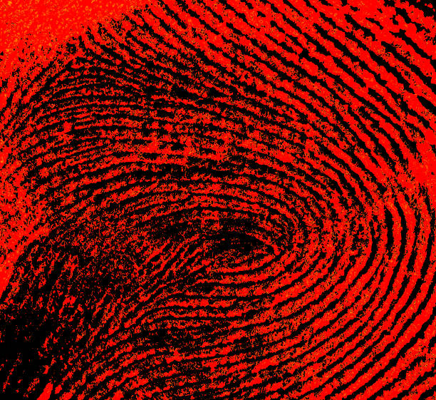 impressão digital vermelho como pano de fundo. crime de identidade digital vermelho. - fingerprint thumbprint identity red - fotografias e filmes do acervo