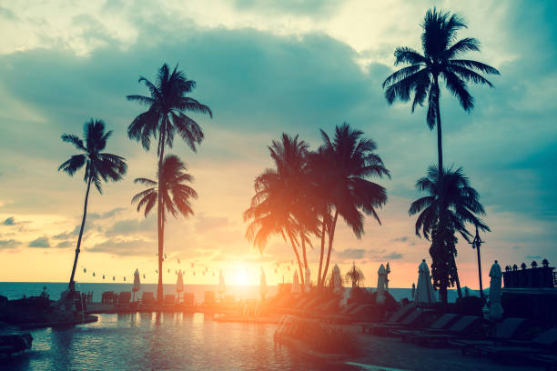 istock Palm trees silhouettes on a tropical sea beach during sunset. 925175238