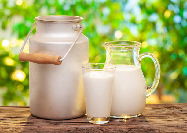 istock Farm milk in different dishes. 925176438