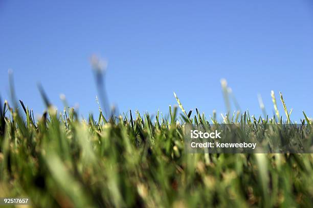 Blau Grün 3 Stockfoto und mehr Bilder von Blau - Blau, Farbbild, Farbton