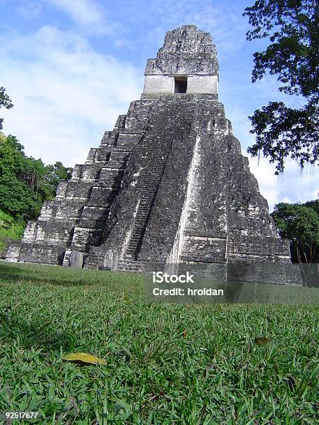 Tikal Stock Photo - Download Image Now - Color Image, Grass, Green Color