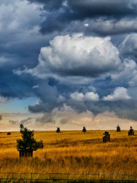 istock Field sky agricultural landscape 925179664