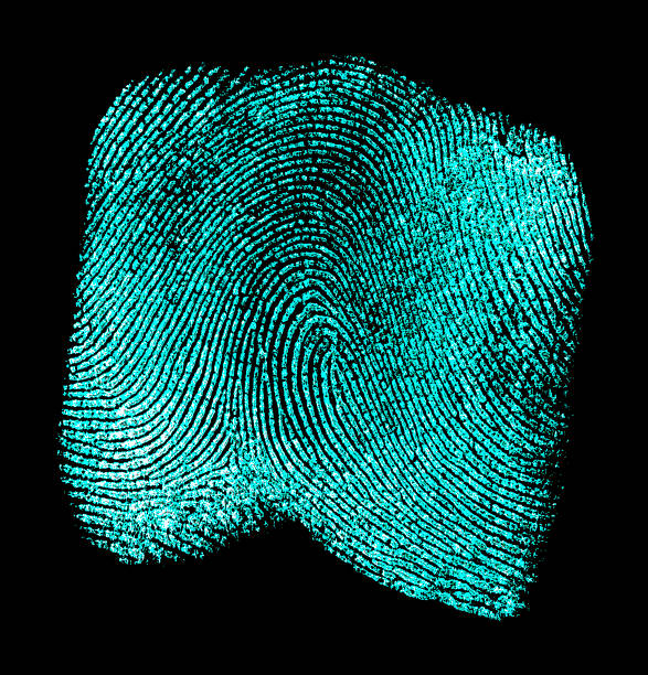 istock Fingerprint on black background. Fingerprint with ultraviolet lamp. 925179986