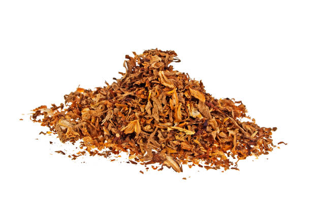 istock Dried smoking tobacco isolated on a white background 925180058
