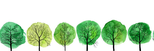 wektorowy bezszwowy wzór z drzewami liściastymi - linden tree stock illustrations