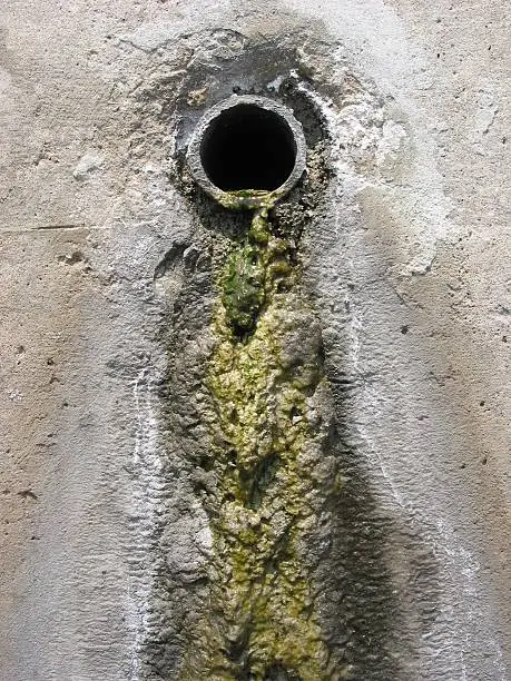 Photo of Pipe slime