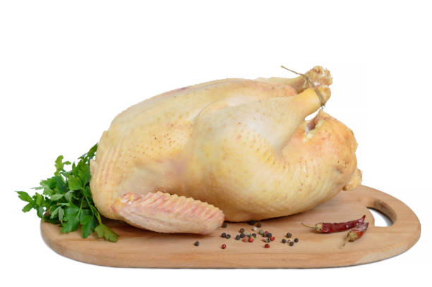 istock Large raw chicken (broiler) on a wooden stand, isolated on white background. 925189228