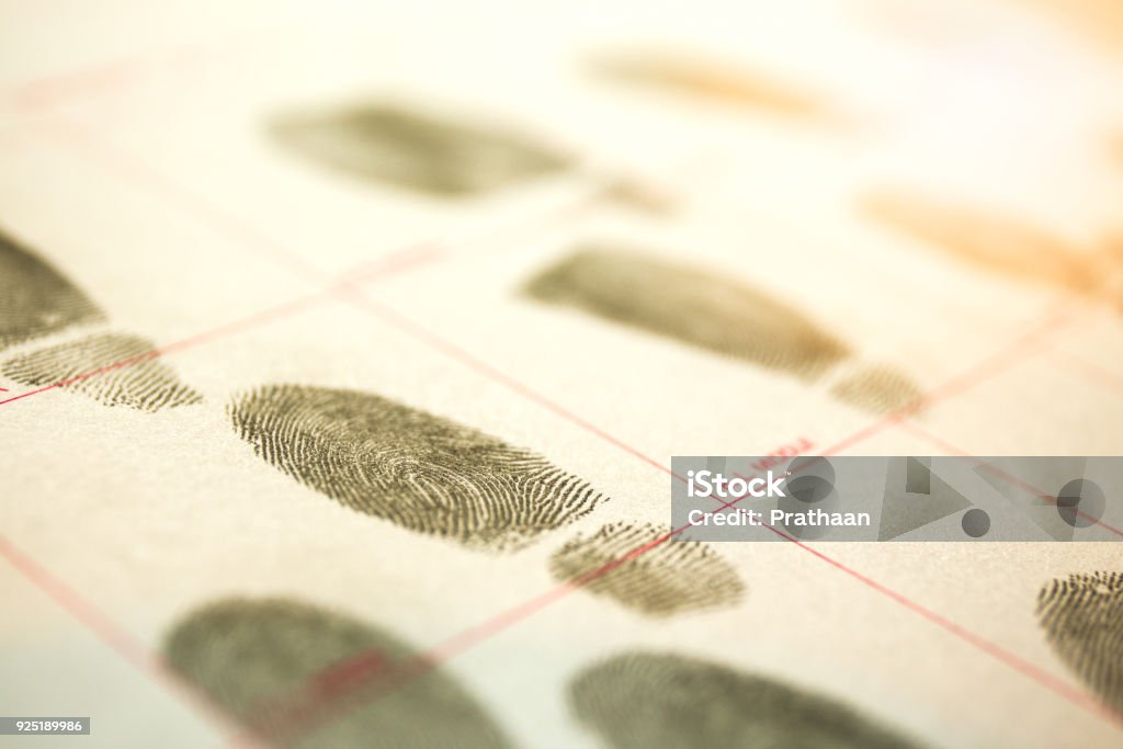 physiological biometrics concept for criminal record by fingerprint in cinematic tone forensic concept of physiological biometrics criminal record by suspect fingerprint for forensic science database with flare and cinematic tone Police Force Stock Photo
