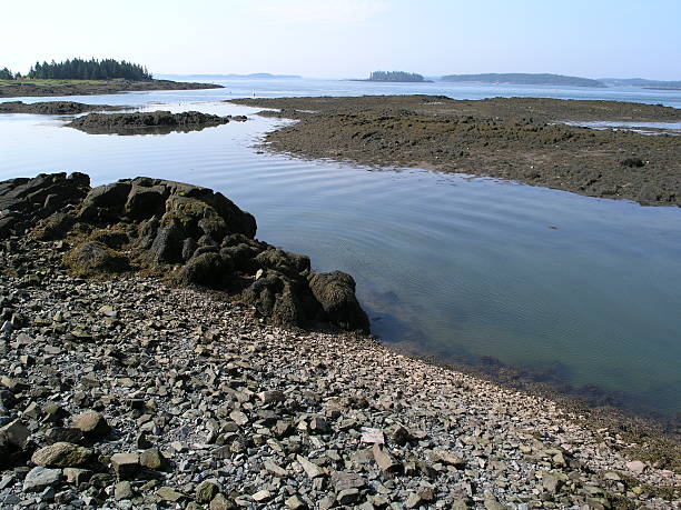 istock Rocky sea shore in Atlantic Canada 92519177