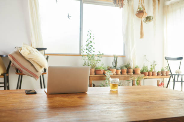 Living in daytime with natural atmosphere with plenty of plants.