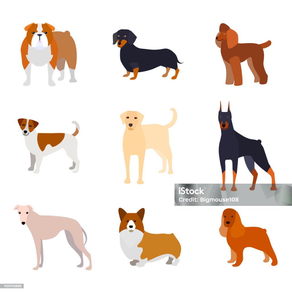 Dessin animé race de chiens Collection icônes. Vector - clipart vectoriel de Chien libre de droits