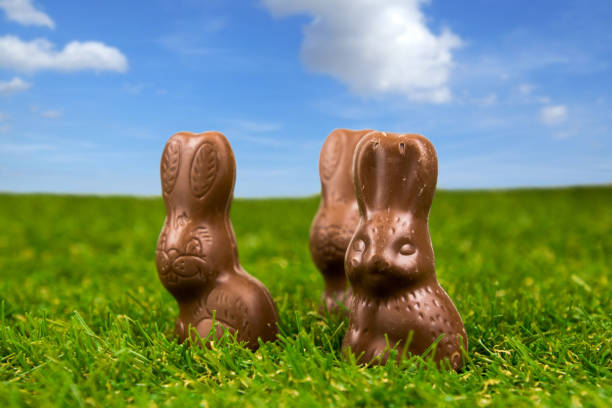 istock Chocolate easter bunnies on green grass with blue sky - easter background 925194302