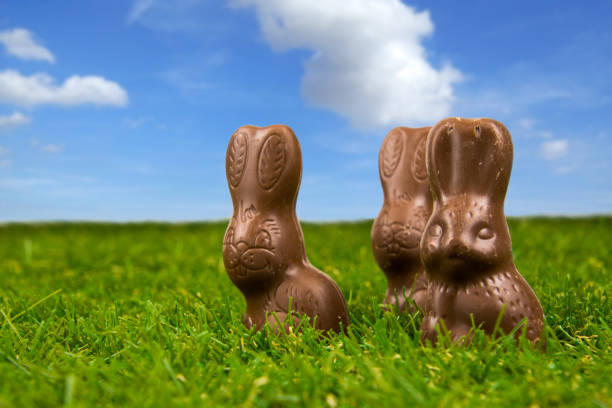 istock Chocolate easter bunnies on green grass with blue sky - easter background 925196242
