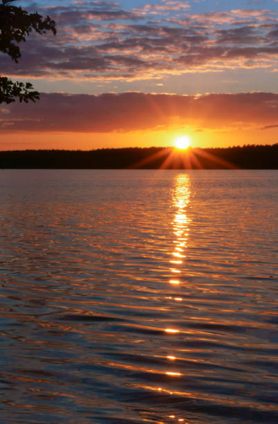 istock the sun breaks through the trees, the sunset, the sun reflected in the water 925197840