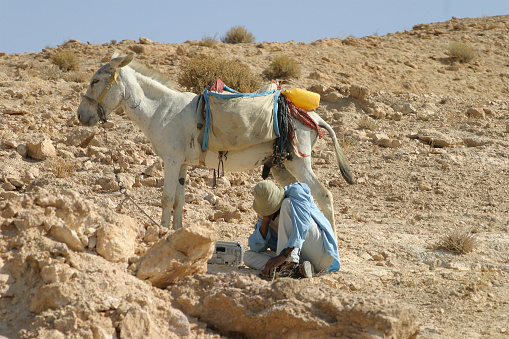 Muslim man with his donkey cart in Siwa Oasis , Sahara Desert, Africa