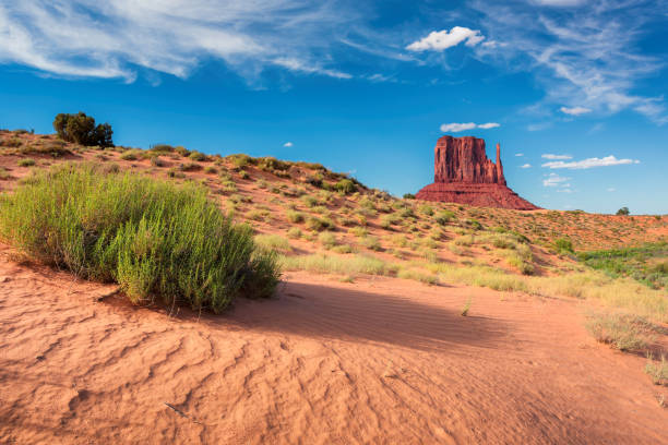 istock Sand desert in Monument Valley, Arizona. 925199844