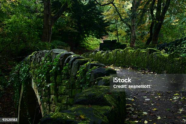 Stong Most Alei - zdjęcia stockowe i więcej obrazów Bez ludzi - Bez ludzi, Drzewo, Fotografika