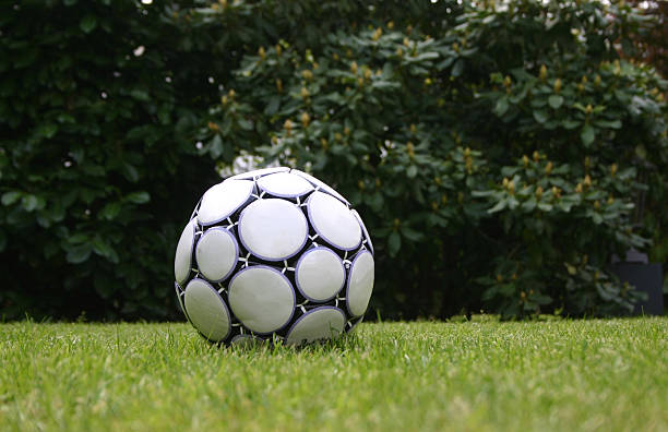 Soccer ball on green grass