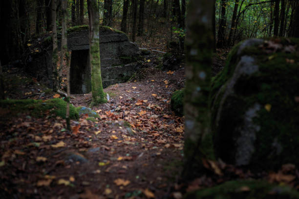istock a small old stone house in the woods 925211088