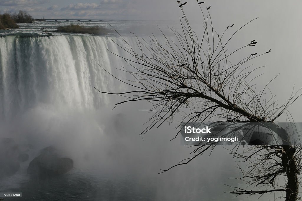 Inverno no Niagara - Foto de stock de Cabelo Grisalho royalty-free