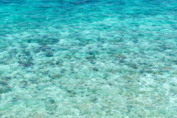 istock sea surface with rock aerial 925215892