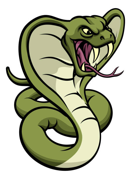 kobra schlange viper maskottchen - cobra snake aggression king cobra stock-grafiken, -clipart, -cartoons und -symbole