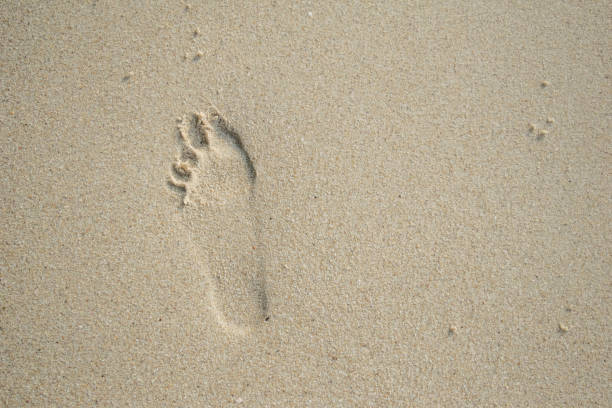 istock footprints on the beach in holiday 925219188